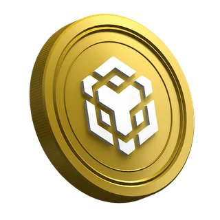 Moneta della criptovaluta Binance BNB nella pagina della guida destinata al trader principiante